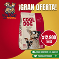 COOL DOG CARNE X 10 KG